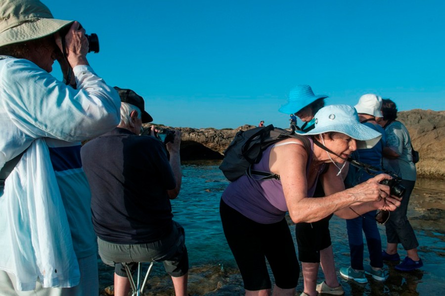 סיום שנה של צילומים   (1)