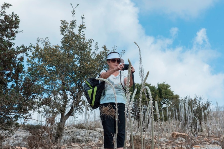 קבוצת הצילום של שושנה גנז בתל יודפת שבו  אלפי חצבים פורחים  (28)