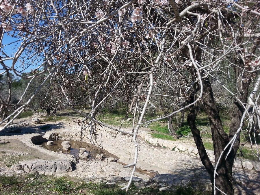 ארץ אהבתי-אתרים בעמק איילון- פרק קנדה (36)