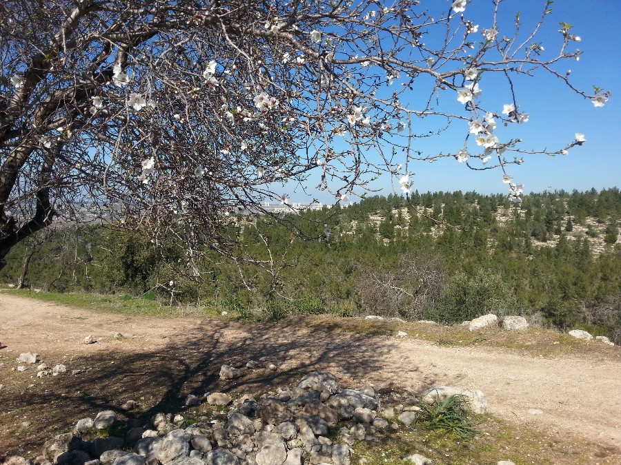 ארץ אהבתי-אתרים בעמק איילון-חורבת עקד (12)