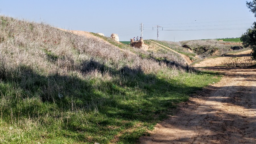 שמורת פורה (21)