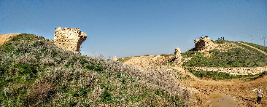 שמורת פורה (23)