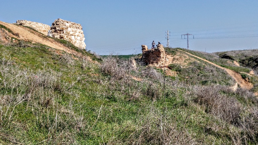 שמורת פורה (22)