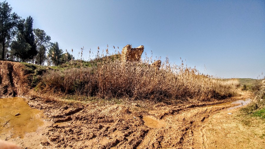 שמורת פורה (24)