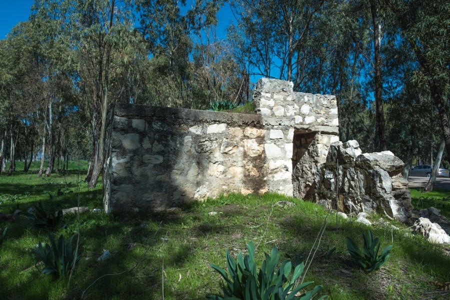 קורס צילום של יום א' במנחת הכלניות בצומת מגידו  (1)