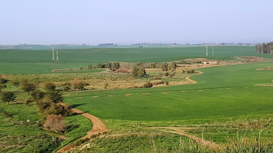 צועדים בשביל ישראל מתל קשת  לשמורת פורה 10.2 (13)