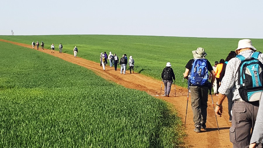 צועדים בשביל ישראל מתל קשת  לשמורת פורה 10.2 (15)