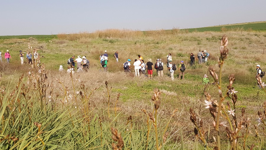 צועדים בשביל ישראל מתל קשת  לשמורת פורה 10.2 (42)