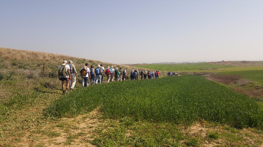 צועדים בשביל ישראל מתל קשת  לשמורת פורה 10.2 (50)