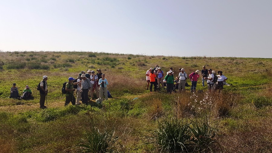 צועדים בשביל ישראל מתל קשת  לשמורת פורה 10.2 (46)