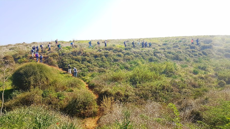 צועדים בשביל ישראל מתל קשת  לשמורת פורה 10.2 (53)