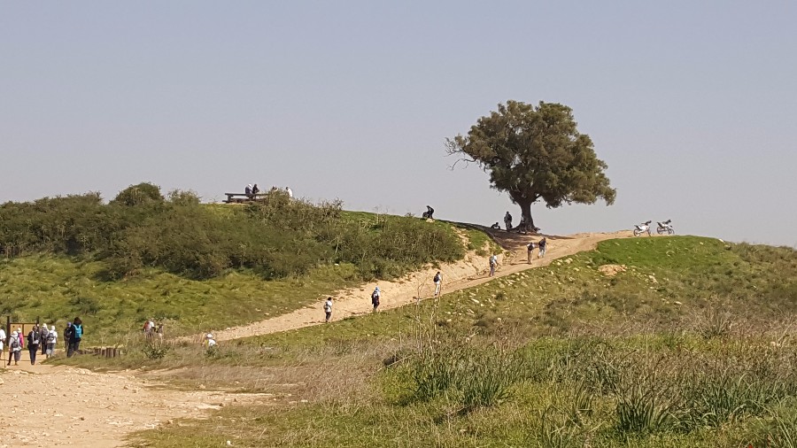 צועדים בשביל ישראל מתל קשת  לשמורת פורה 10.2 (65)
