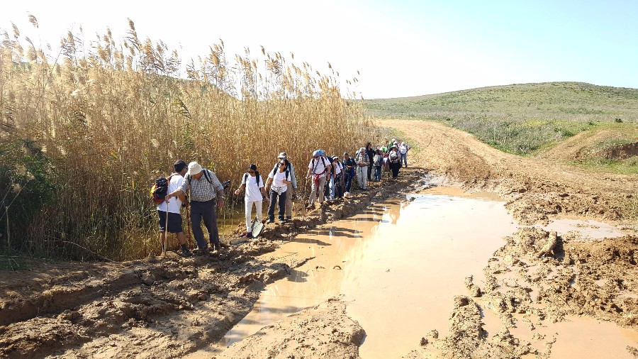 צועדים בשביל ישראל מתל קשת  לשמורת פורה 10.2 (73)