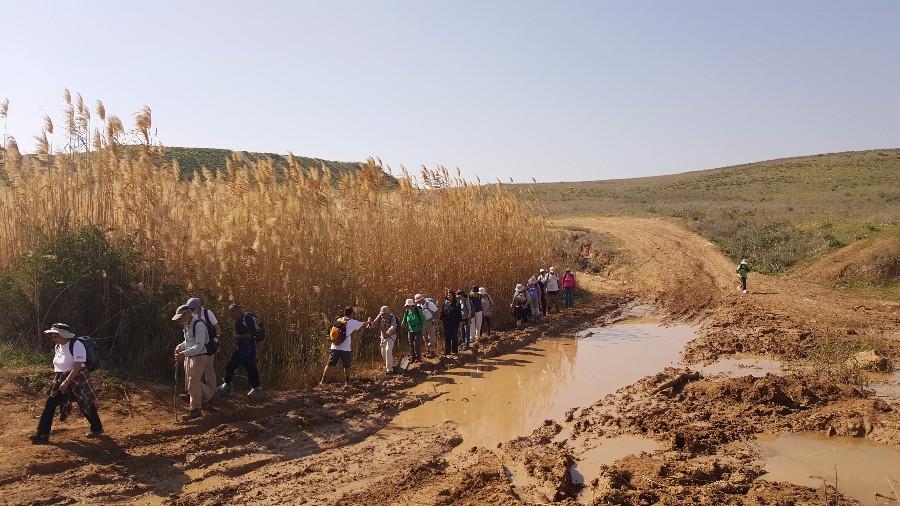 צועדים בשביל ישראל מתל קשת  לשמורת פורה 10.2 (75)