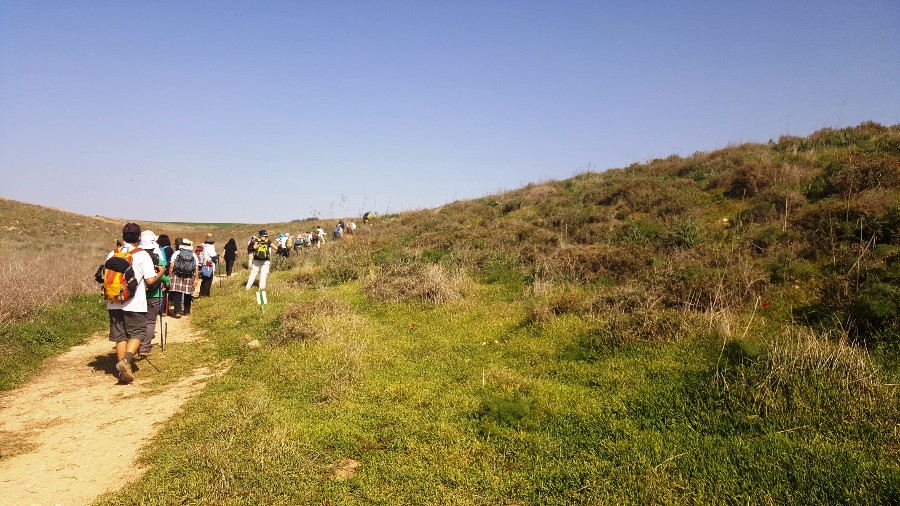 צועדים בשביל ישראל מתל קשת  לשמורת פורה 10.2 (84)