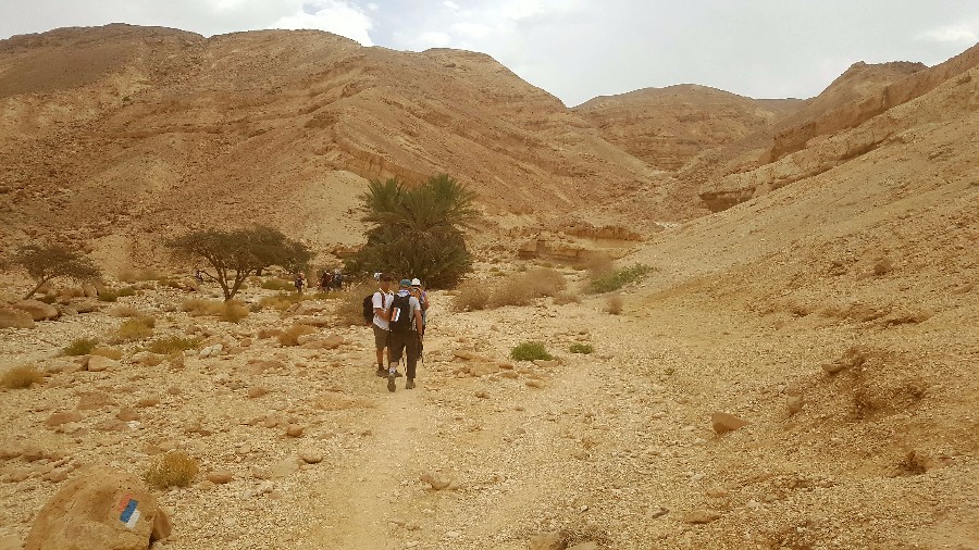 צועדים בשביל ישראל 3 ימים בדרום (45)