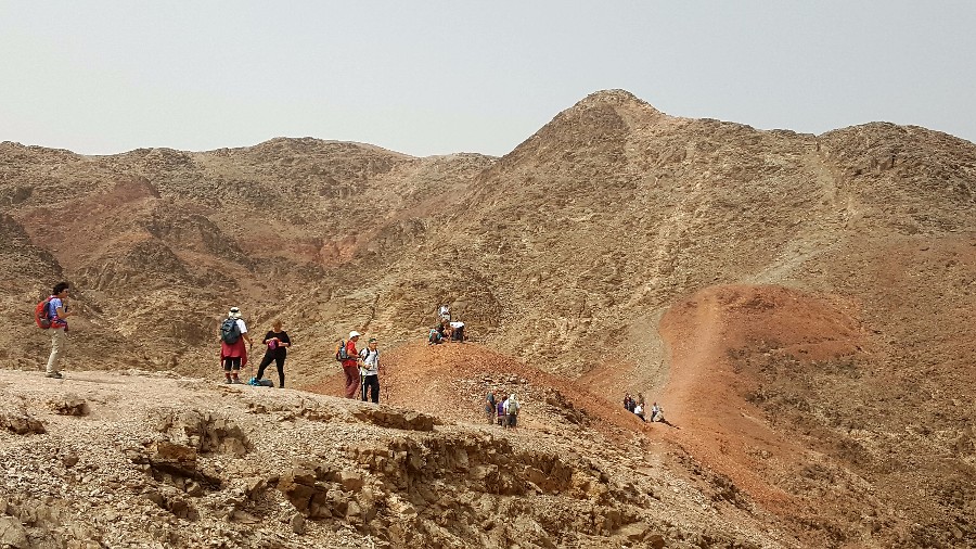 צועדים בשביל ישראל 3 ימים בדרום (92)