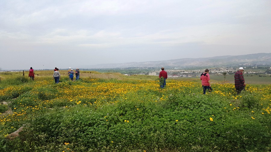 עמק בית שאן-בין אנרגיה ירוקה לגשרים של שלום (88)