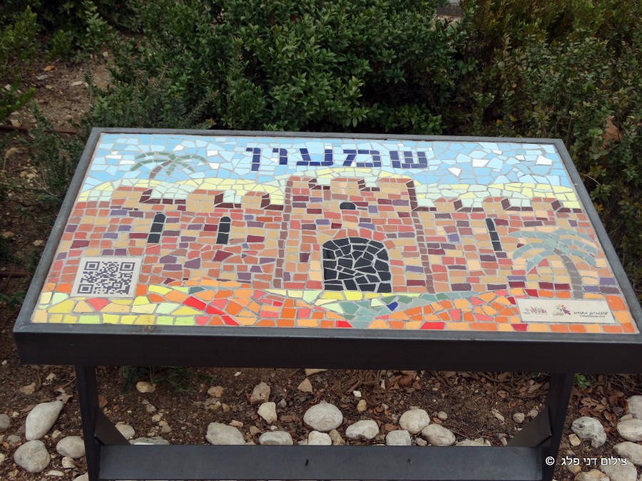 קמפוס ירושלים( יום שני) (79)