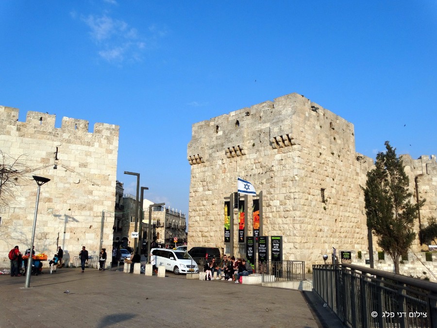 קמפוס ירושלים( יום שני) (164)
