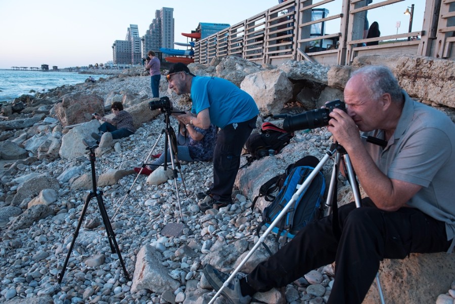 מצלמים עם שושנה בחוף הים של חיפה (8)