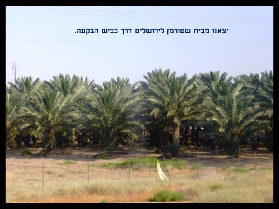 גינות נסתרות ופסטיבל האור בירושלים (2)