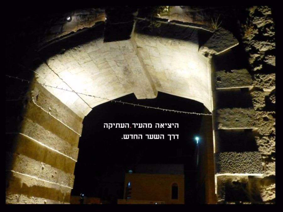 גינות נסתרות ופסטיבל האור בירושלים (61)