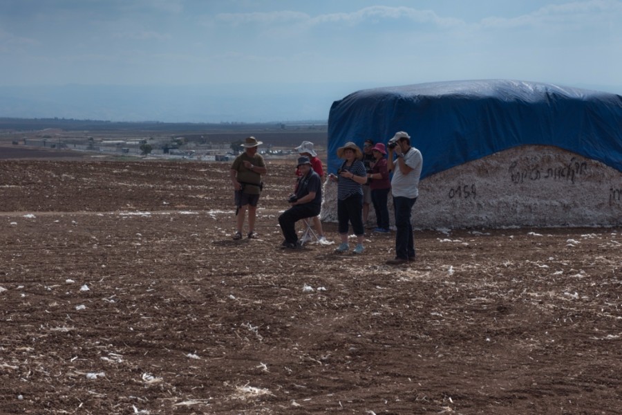 יצאנו לצלם בשדות הכותנה בעמק  (1)