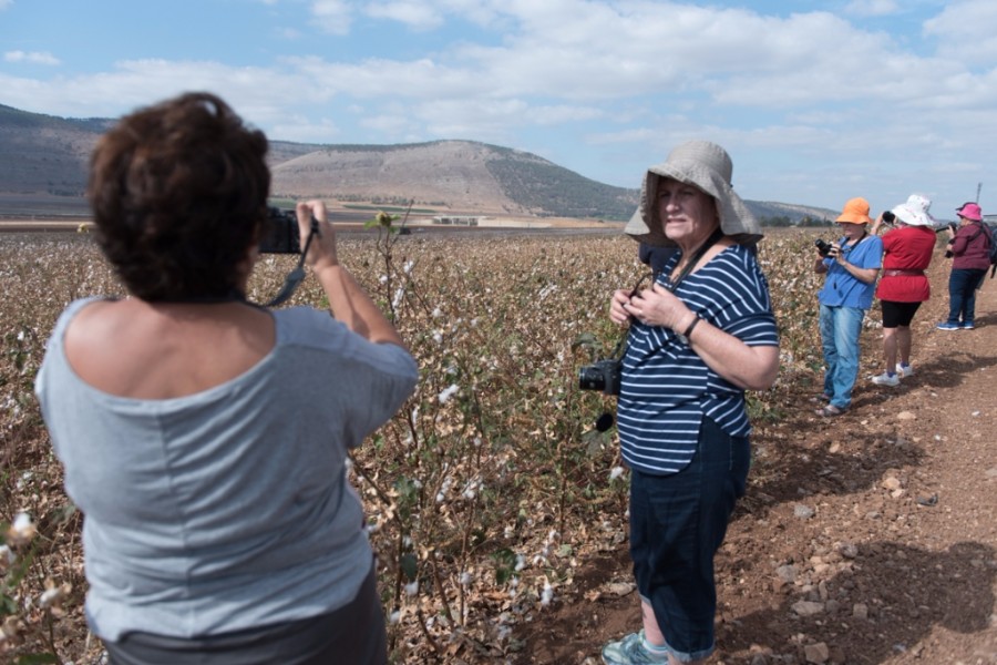 יצאנו לצלם בשדות הכותנה בעמק  (2)