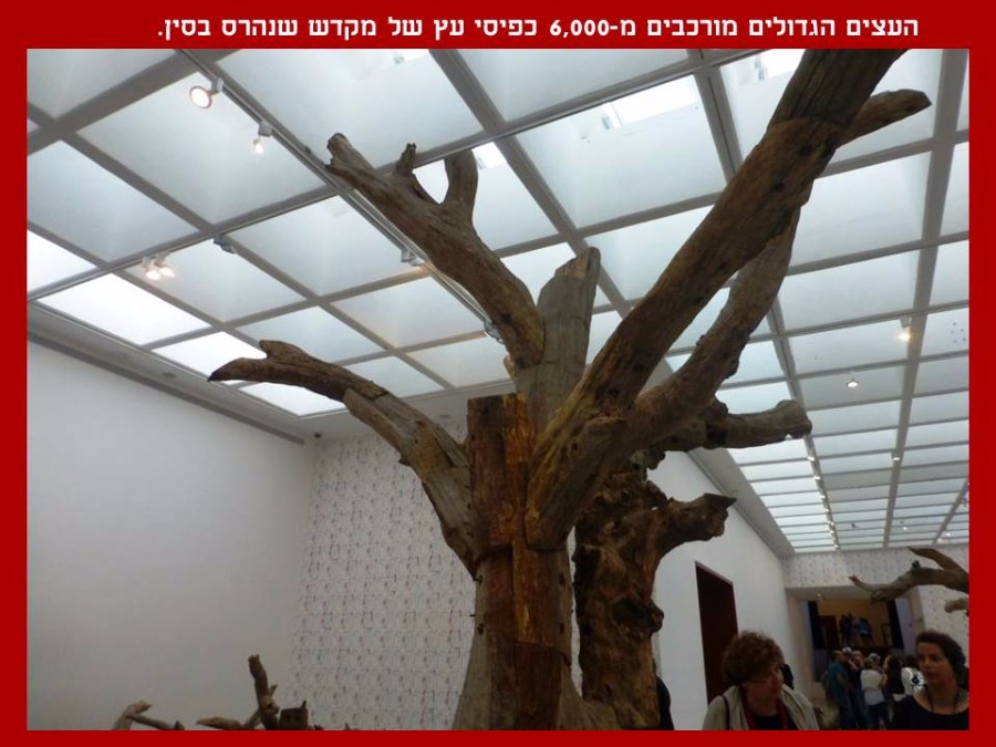 סיור אמנות במוזאון ישראל (7)
