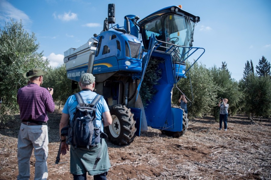 מסיק זיתים מכני,  (6)