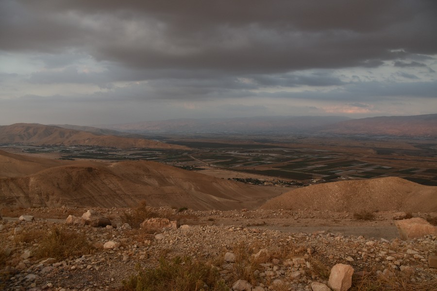 הסרטבה (5)