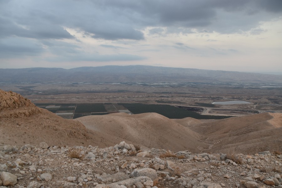 הסרטבה (8)