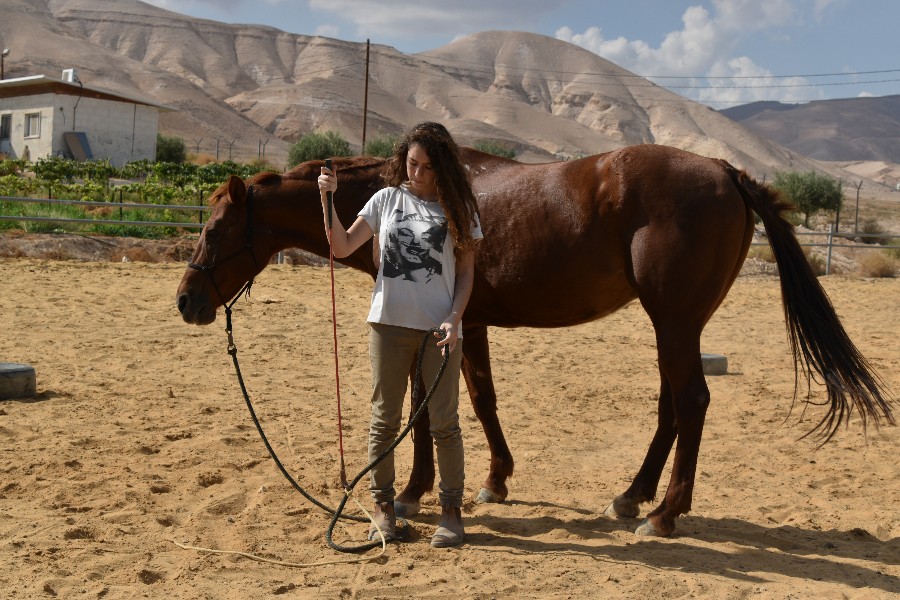 חוות גינת עדן (11)