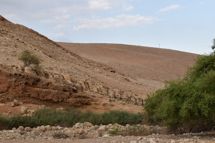 עינות פצאל (3)