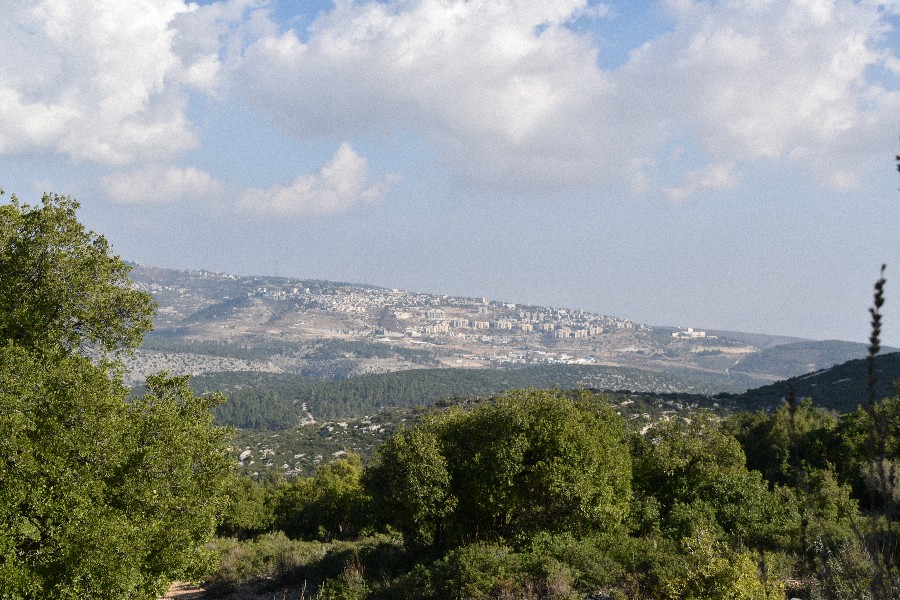 שביל ישראל הר מירון-8687