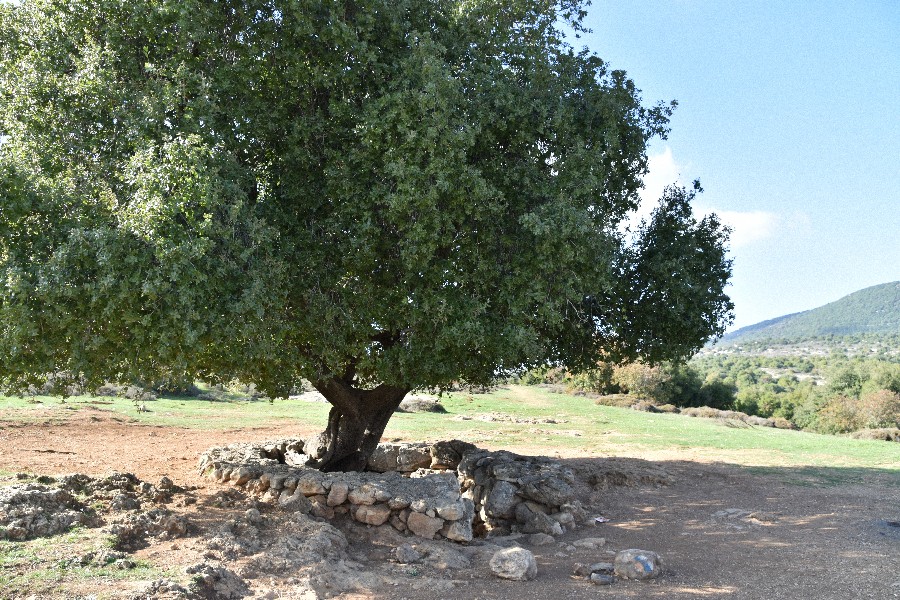 שביל ישראל הר מירון-8682