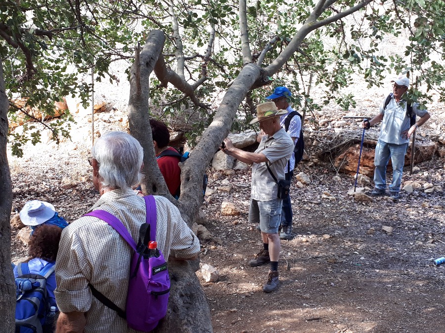 הליכה בנחל צלמון (7)