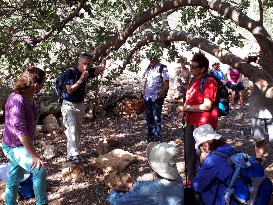 הליכה בנחל צלמון (3)