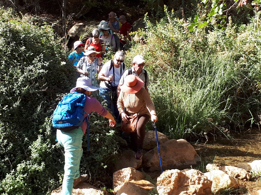 הליכה בנחל צלמון (24)