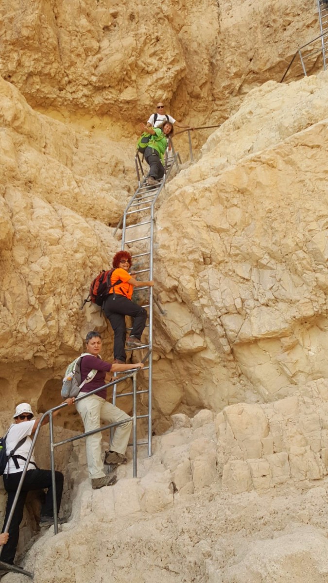 דורות בגלבוע צועדים בשביל ישראל- 3 ימים בדרום (1)