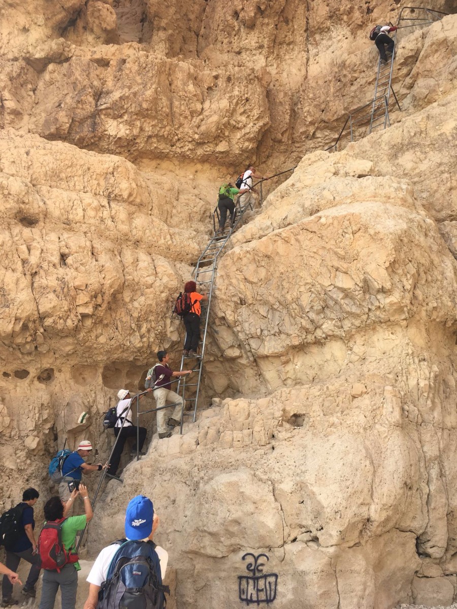 דורות בגלבוע צועדים בשביל ישראל- 3 ימים בדרום (8)