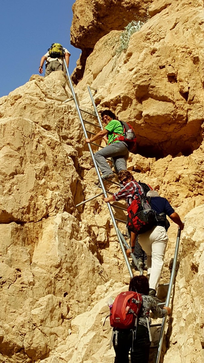 דורות בגלבוע צועדים בשביל ישראל- 3 ימים בדרום (23)