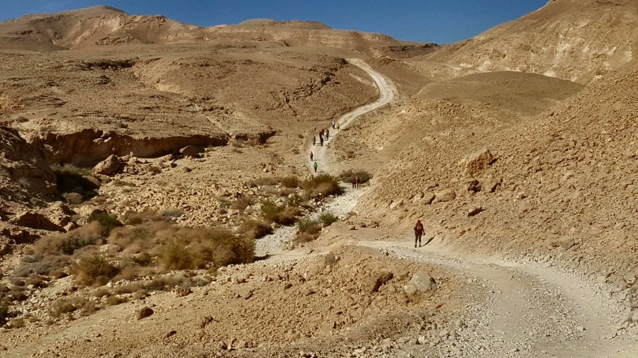 דורות בגלבוע צועדים בשביל ישראל- 3 ימים בדרום (52)