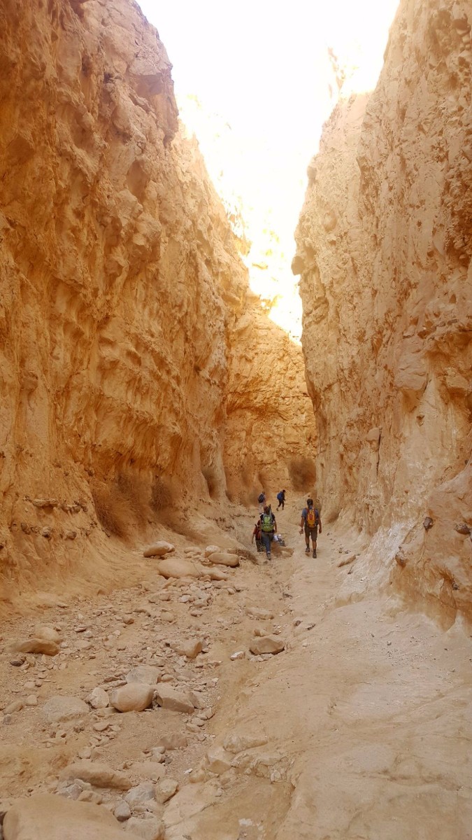 דורות בגלבוע צועדים בשביל ישראל- 3 ימים בדרום (72)