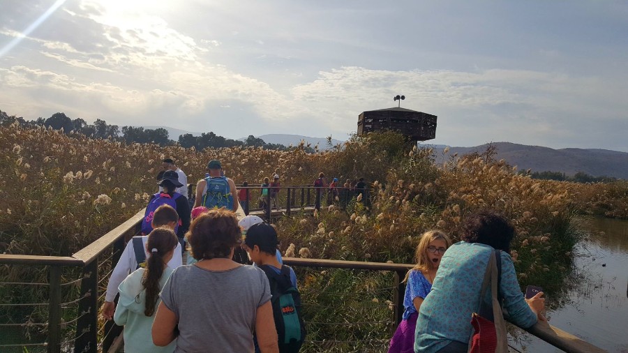 בעקבות הציפורים והפרחים-סבים ונכדים חנוכה תשעח (15)