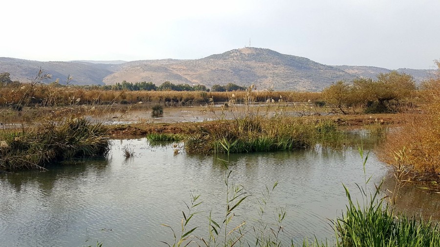 בעקבות הציפורים והפרחים-סבים ונכדים חנוכה תשעח (9)