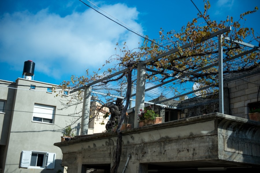 בחורפייש (13)