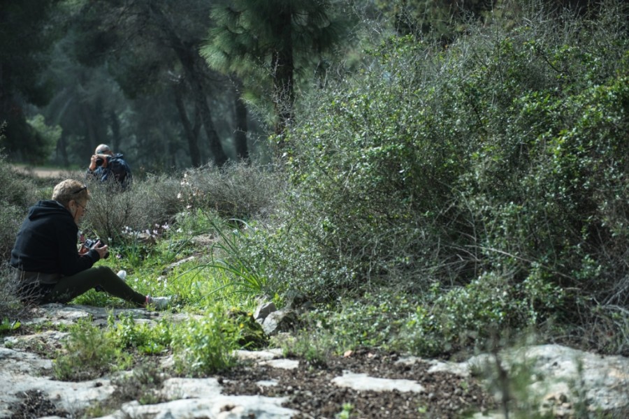 קבוצת הצילום בטו בשבט (2)