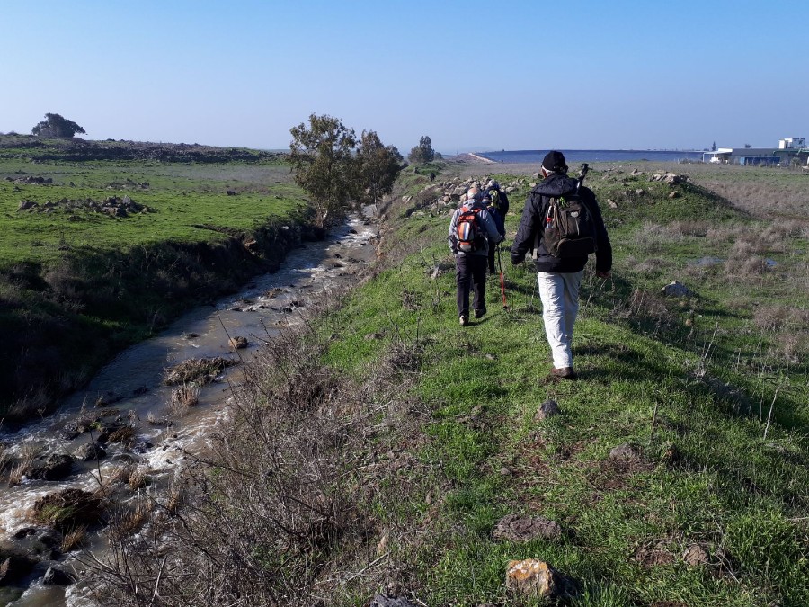 צועדים בגולן-מאלוני הבשן לכפר פרג' (58)